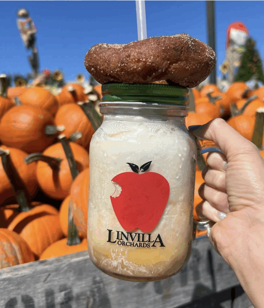 close up look at a cider drink with cider donut on top of cup at Linvilla orchards