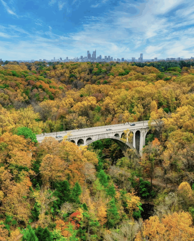 skyline view of Wissakickon Valley Park